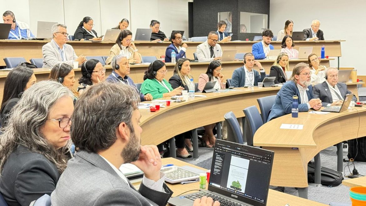 rondonia-fortalece-agenda-climatica-em-workshop-internacional-no-rio-de-janeiro