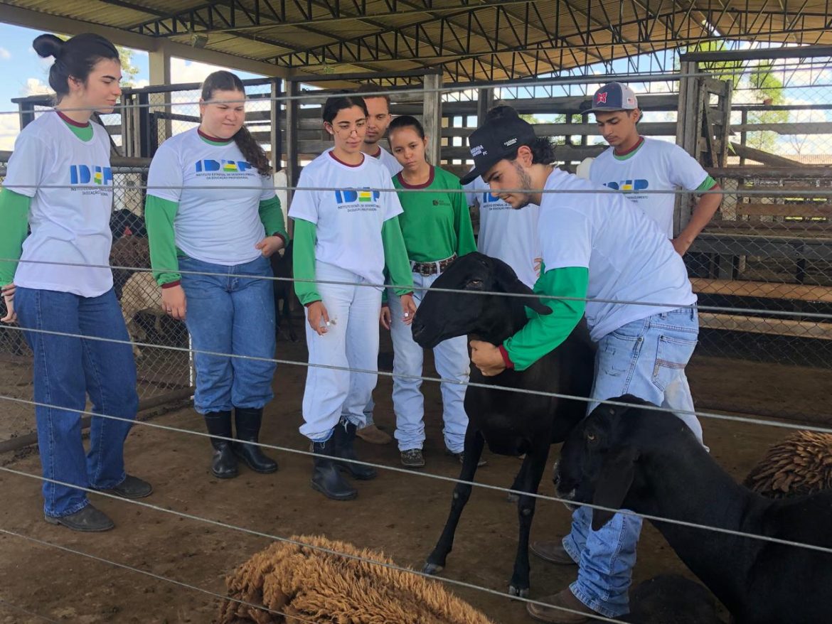 alunos-web-curso-tecnico-em-zootecnia-apresentam-praticas-de-bem-estar-animal-na-ii-semana-web-tecnico-agricola,-em-pimenta-bueno