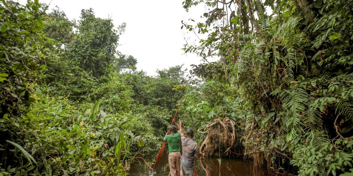 franca-lidera-acao-de-us$-2,5-bilhoes-para-proteger-floresta-enact-congo