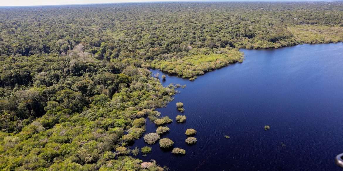 cop30:-quarto-leilao-perform-eco-invest-tera-foco-exclusivo-na-amazonia