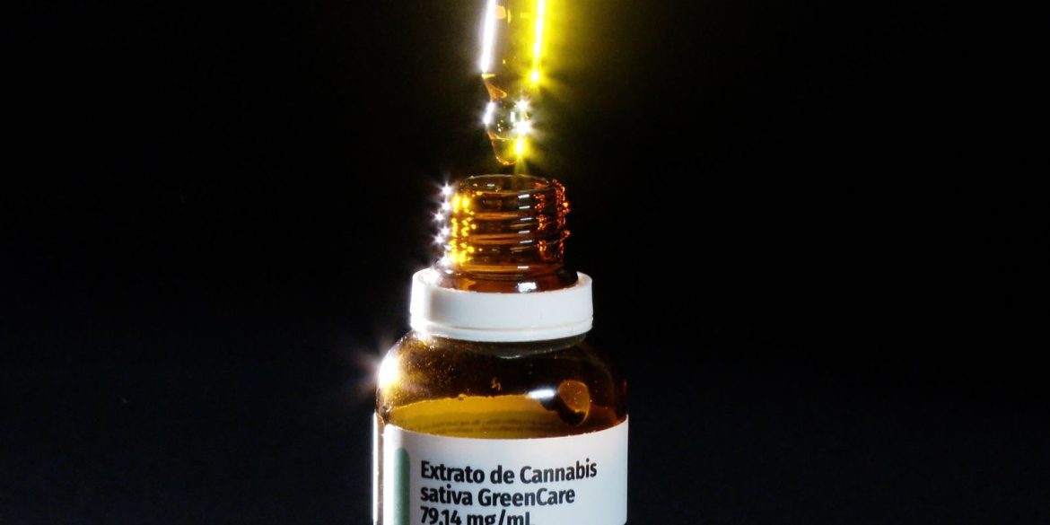 anvisa-aprova-cultivo-de-hashish-por-empresas-e-amplia-acesso