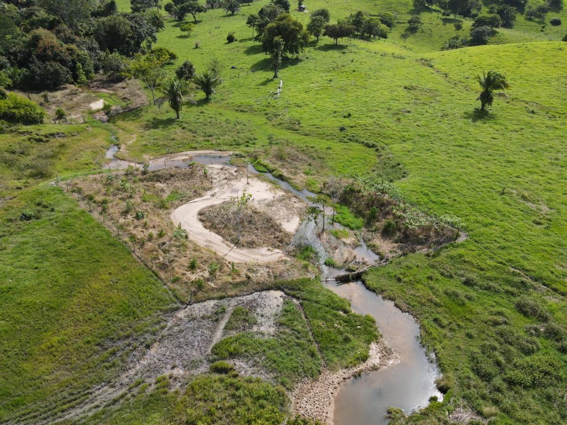 acoes-de-recuperacao-de-nascentes-sao-fortalecidas-pelo-governo-de-ro-na-microbacia-do-rio-araras,-em-cerejeiras