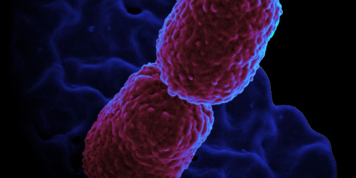 health-center-em-campinas-restringe-atendimento-para-conter-superbacteria