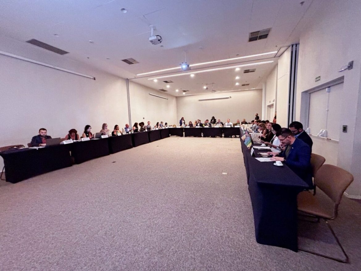 rondonia-discute-impactos-da-lei-de-licenciamento-ambiental-durante-a-123a-reuniao-ordinaria,-em-teresina